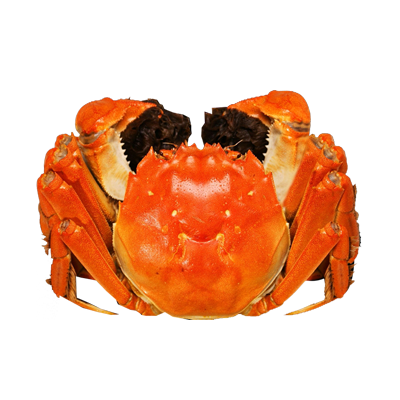 lзϵRӡĺζ